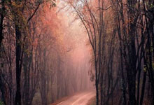 世预赛18强赛迎战沙特队,国足主教练解读大名单环球时报.