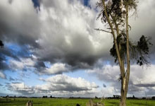 豪门国际:斯基拉:马科斯-阿隆索达成续约条件,将与塞尔塔签至年.