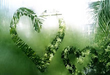 CBA:青岛男篮126-80击败广州男篮.