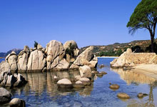 豪门国际:雄鹿本赛季常规赛已被七支球队横扫,其中包括开拓者.